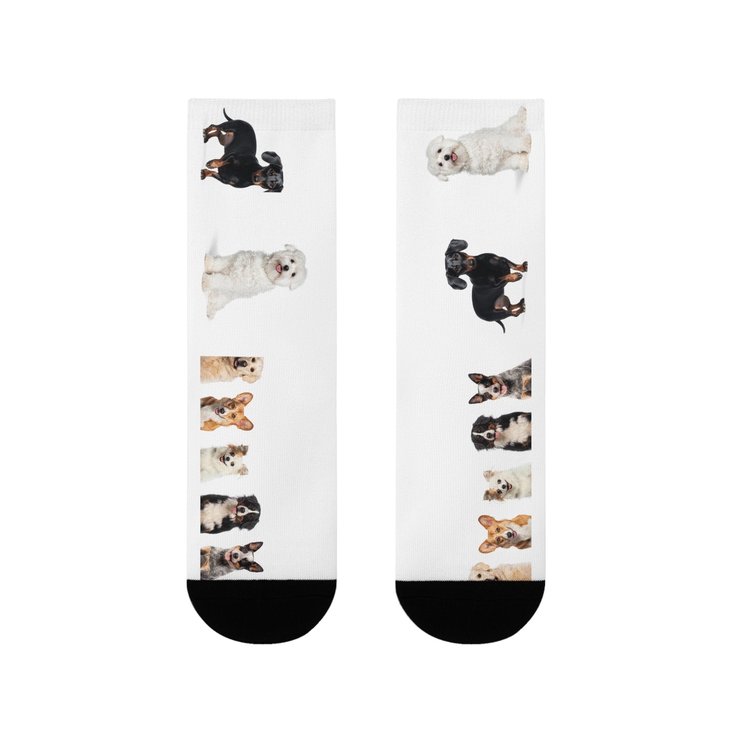 Sublimation Crew Dog Socks (EU)