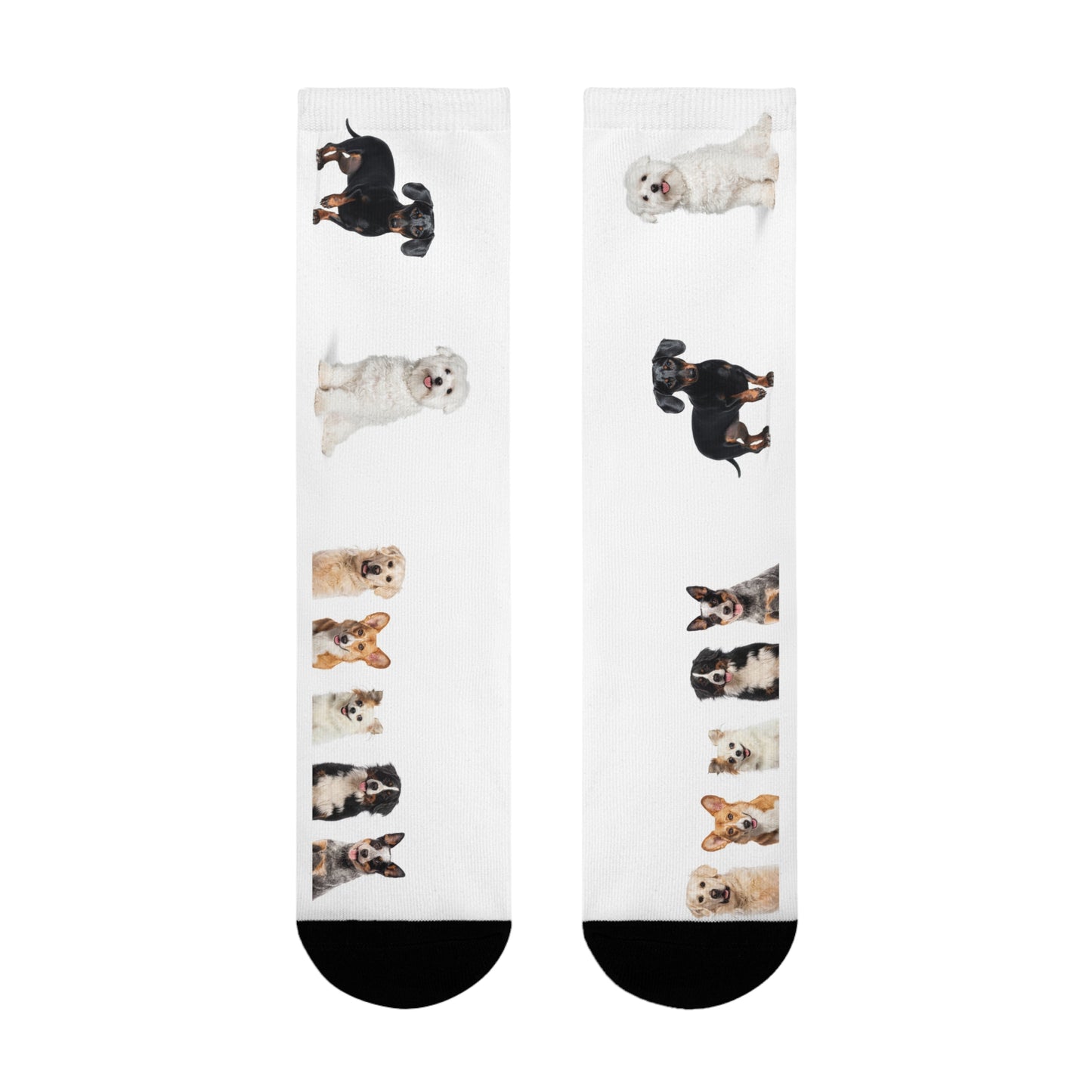 Sublimation Crew Dog Socks (EU)