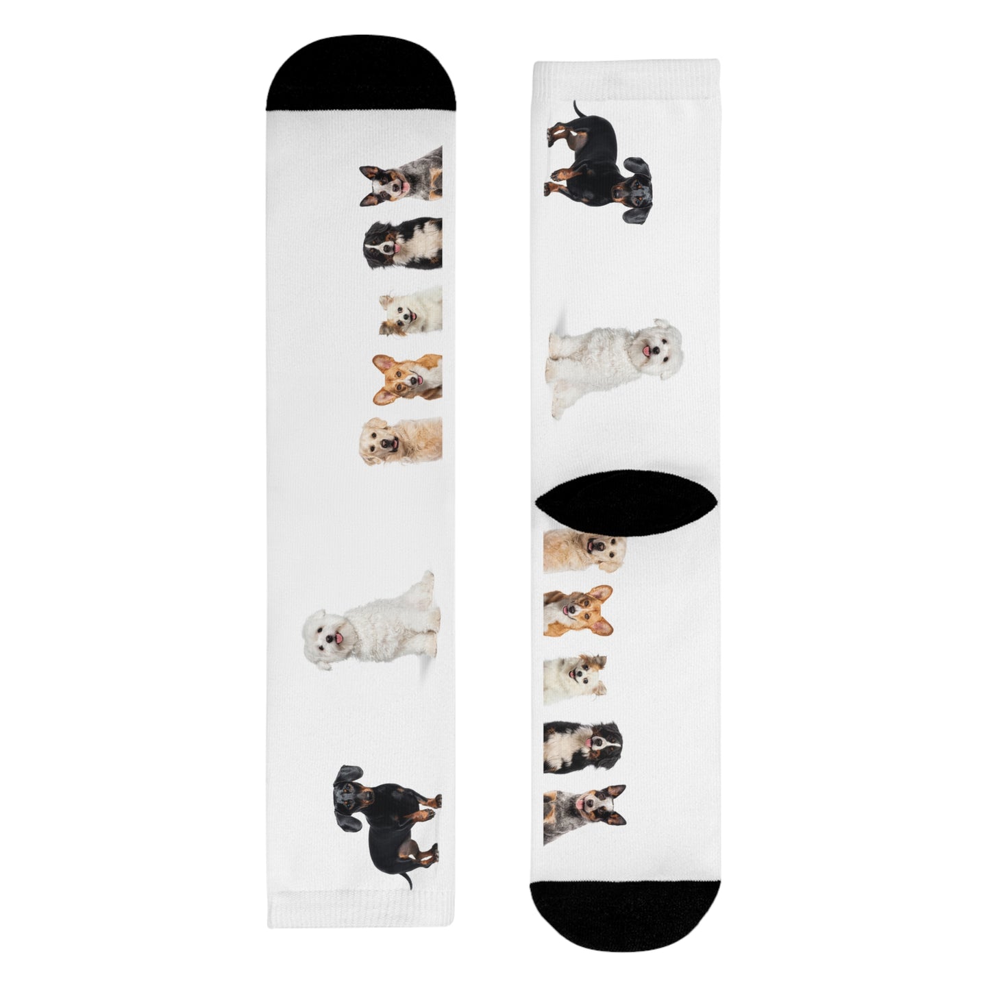 Sublimation Crew Dog Socks (EU)