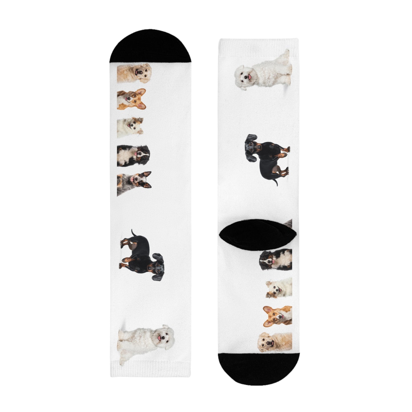 Sublimation Crew Dog Socks (EU)