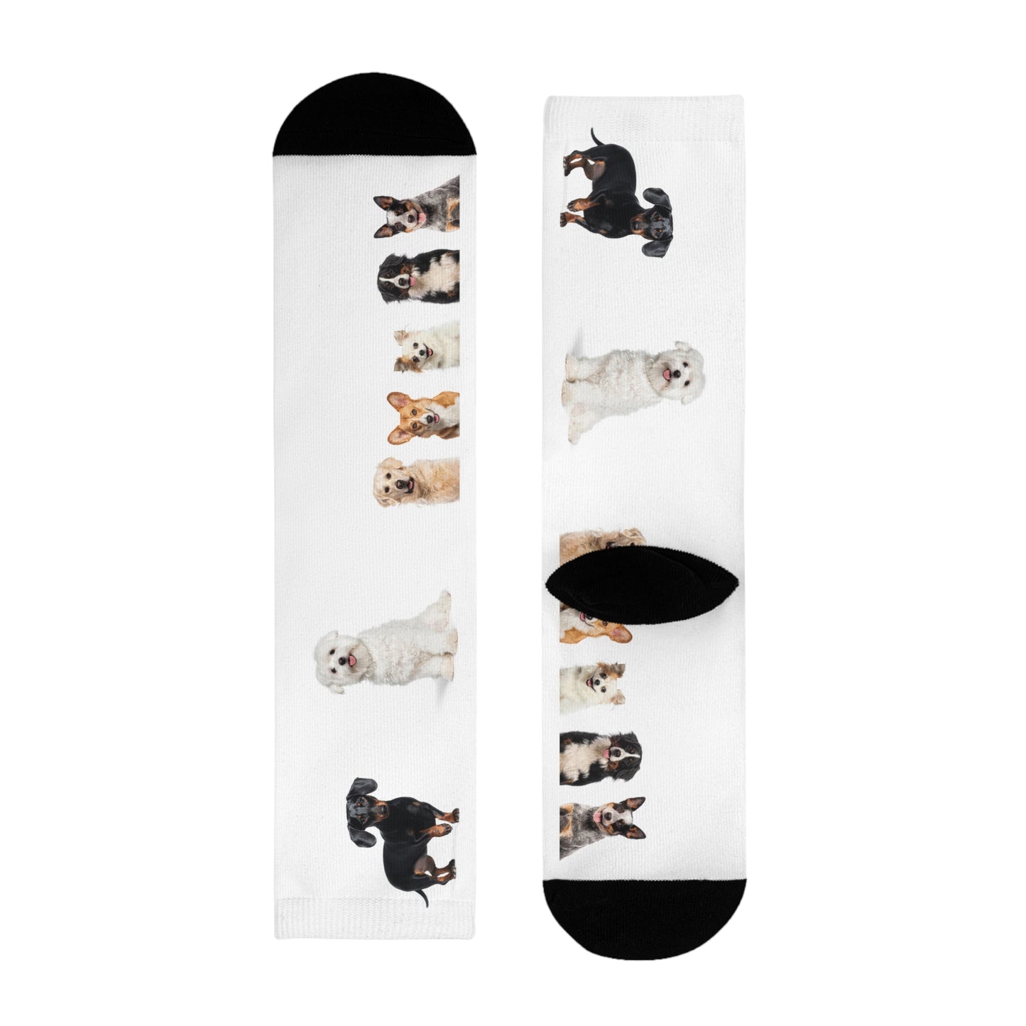 Sublimation Crew Dog Socks (EU)