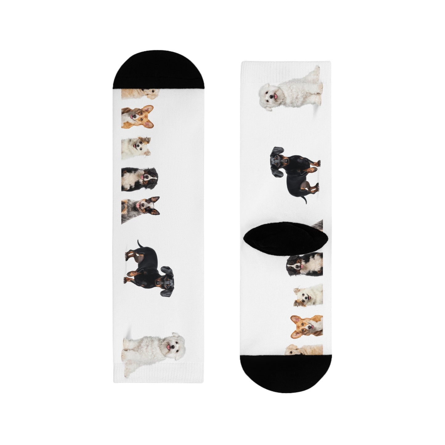 Sublimation Crew Dog Socks (EU)