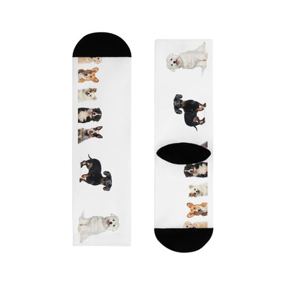 Sublimation Crew Dog Socks (EU)