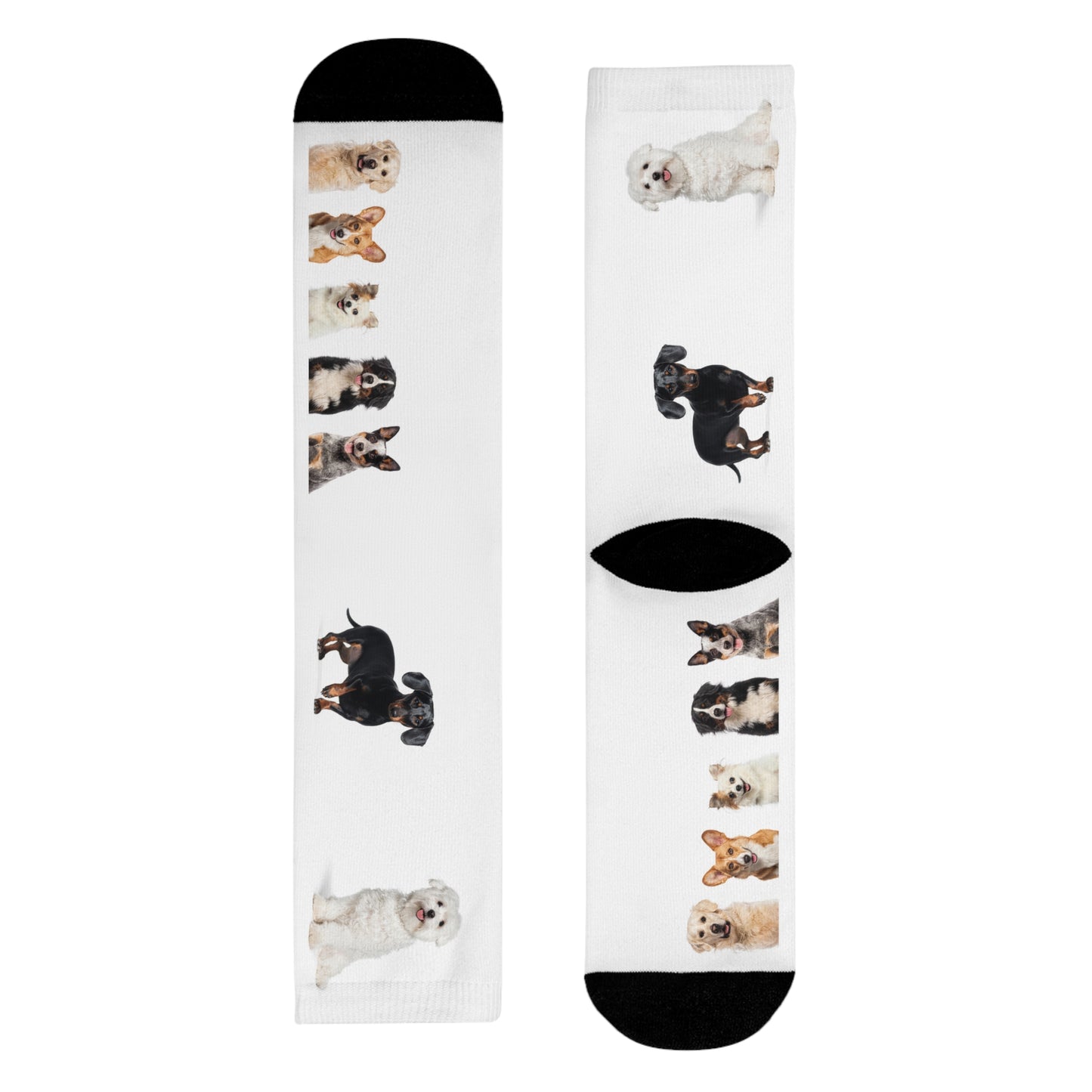 Sublimation Crew Dog Socks (EU)