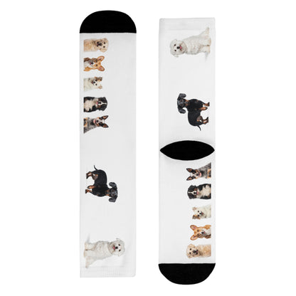 Sublimation Crew Dog Socks (EU)