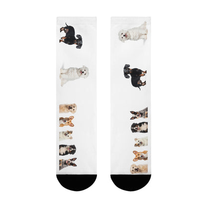 Sublimation Crew Dog Socks (EU)