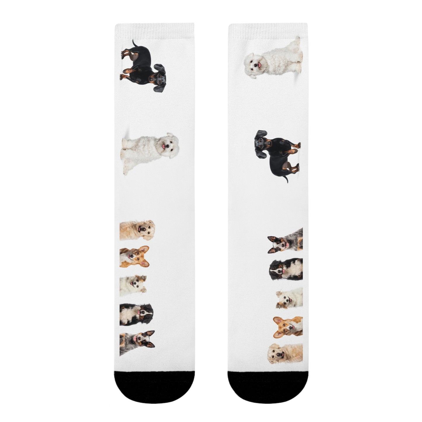 Sublimation Crew Dog Socks (EU)